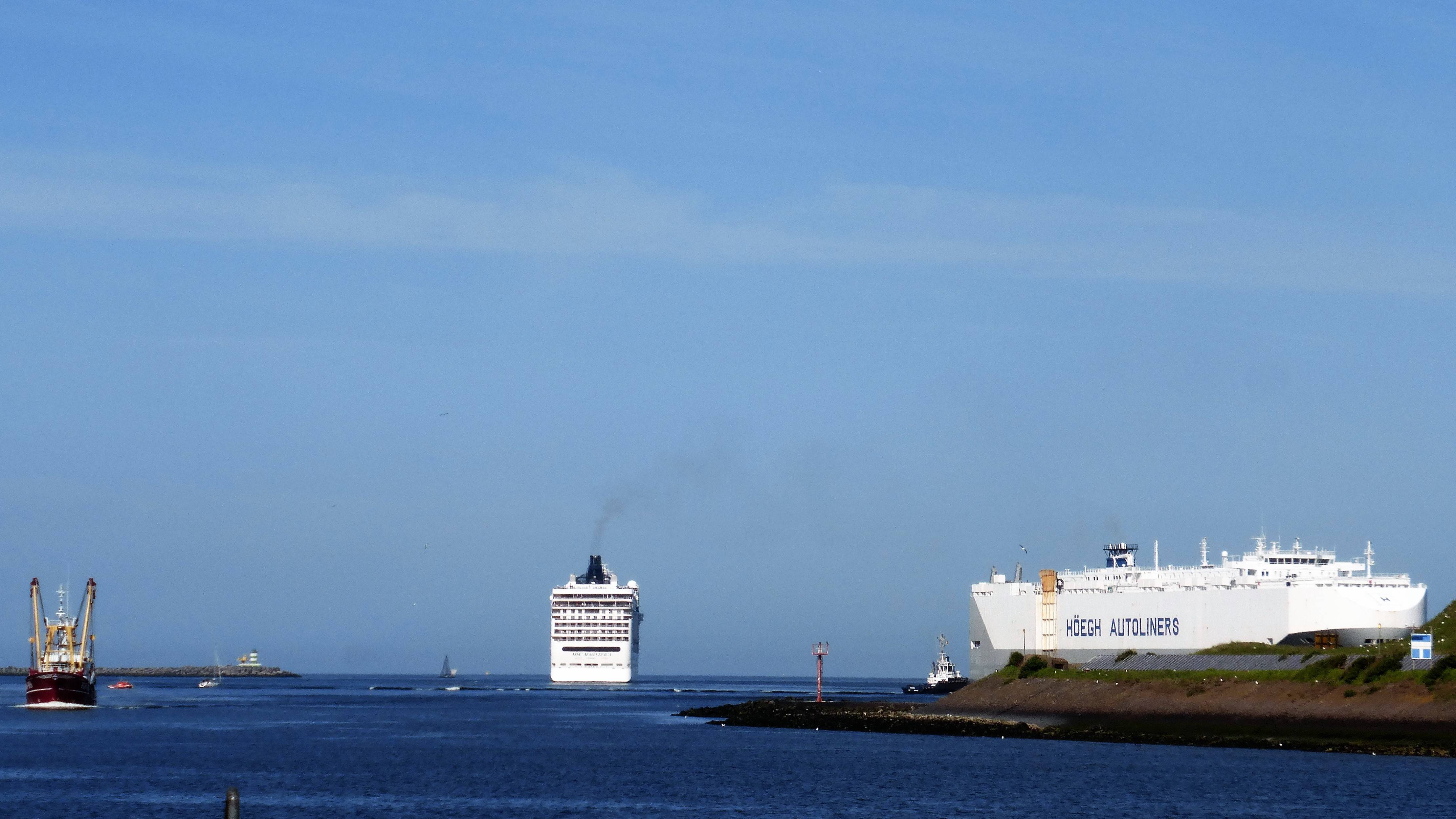 Pieren IJmuiden 11-05-18 